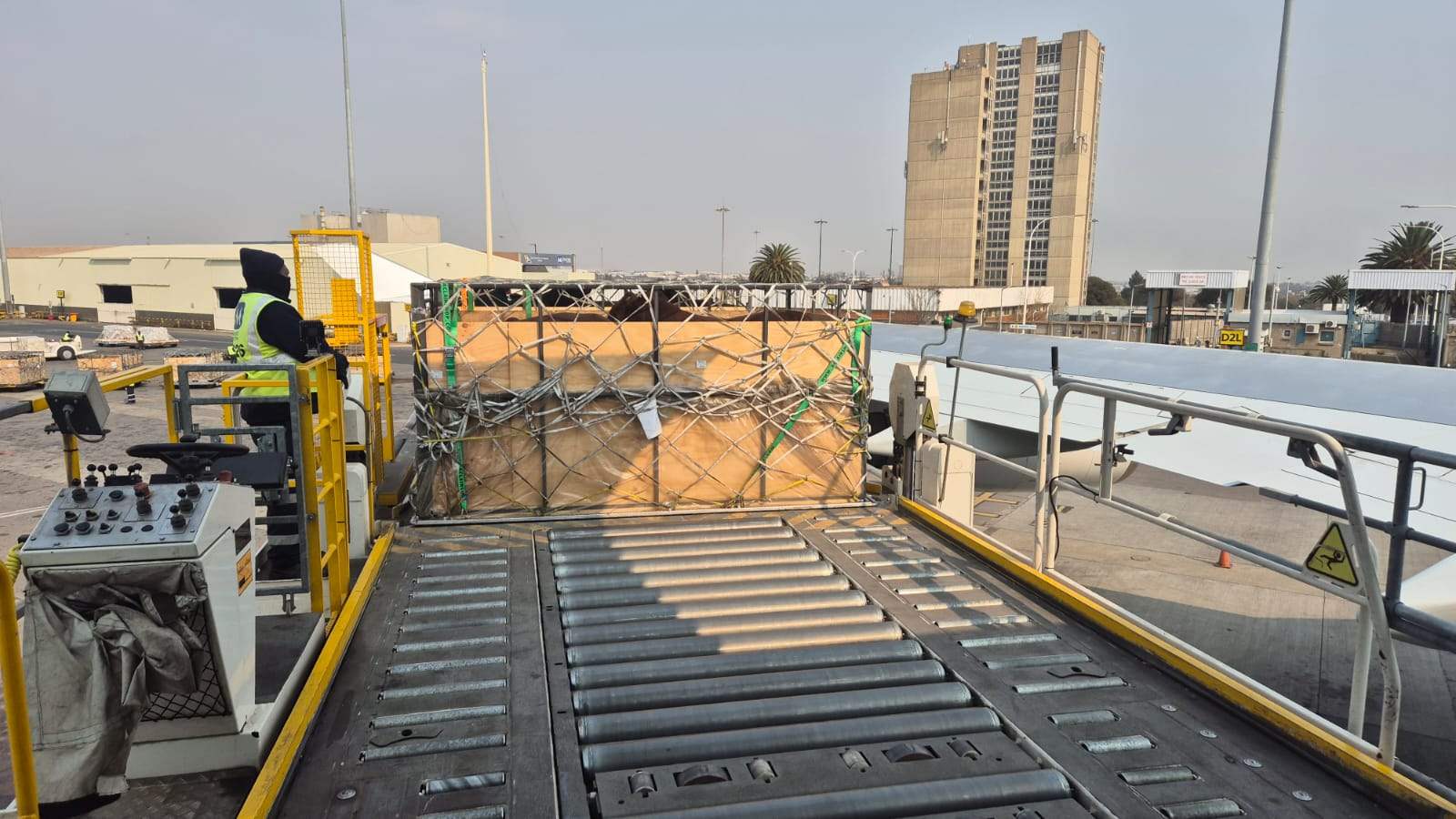 Livestock cargo on airport loading equipment during a Journey Giants organised operation